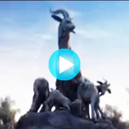 廣州城市形象片制作公司,廣州城市形象宣傳片制作公司,廣州城市形象宣傳片拍攝制作公司